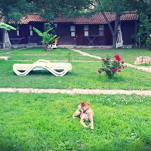 Hotel Lykia Edrassa